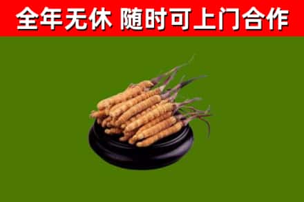 益阳市烟酒回收冬虫夏草.jpg